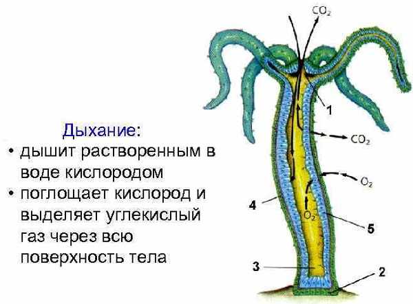 Кракен москва наркотики